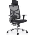 Scrivania HOLLUDLE Sedia da Ufficio Ergonomica con Schienale Regolabile, Sedile Regol